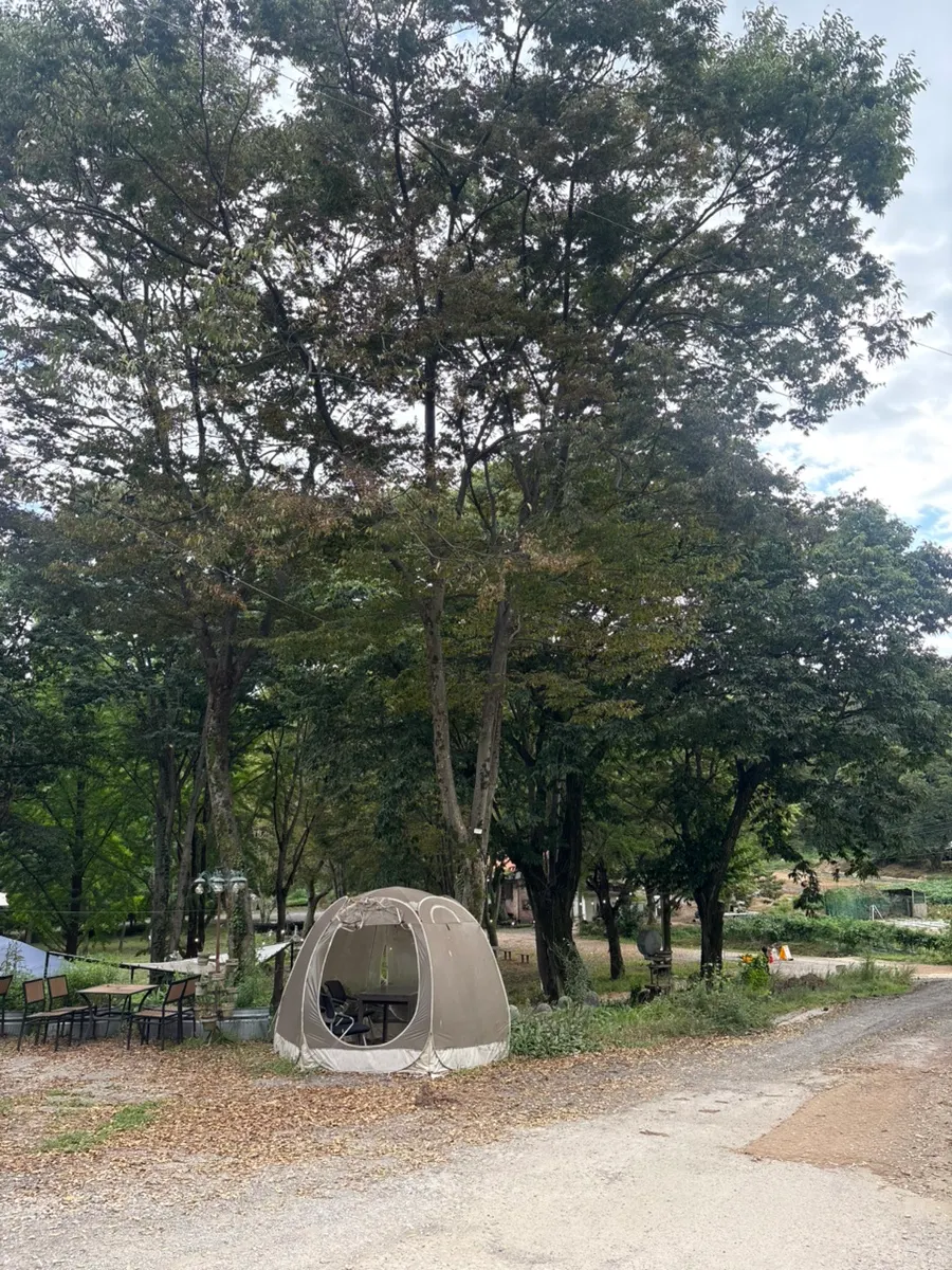 포어레스트 외부 숲속 같은 진입로