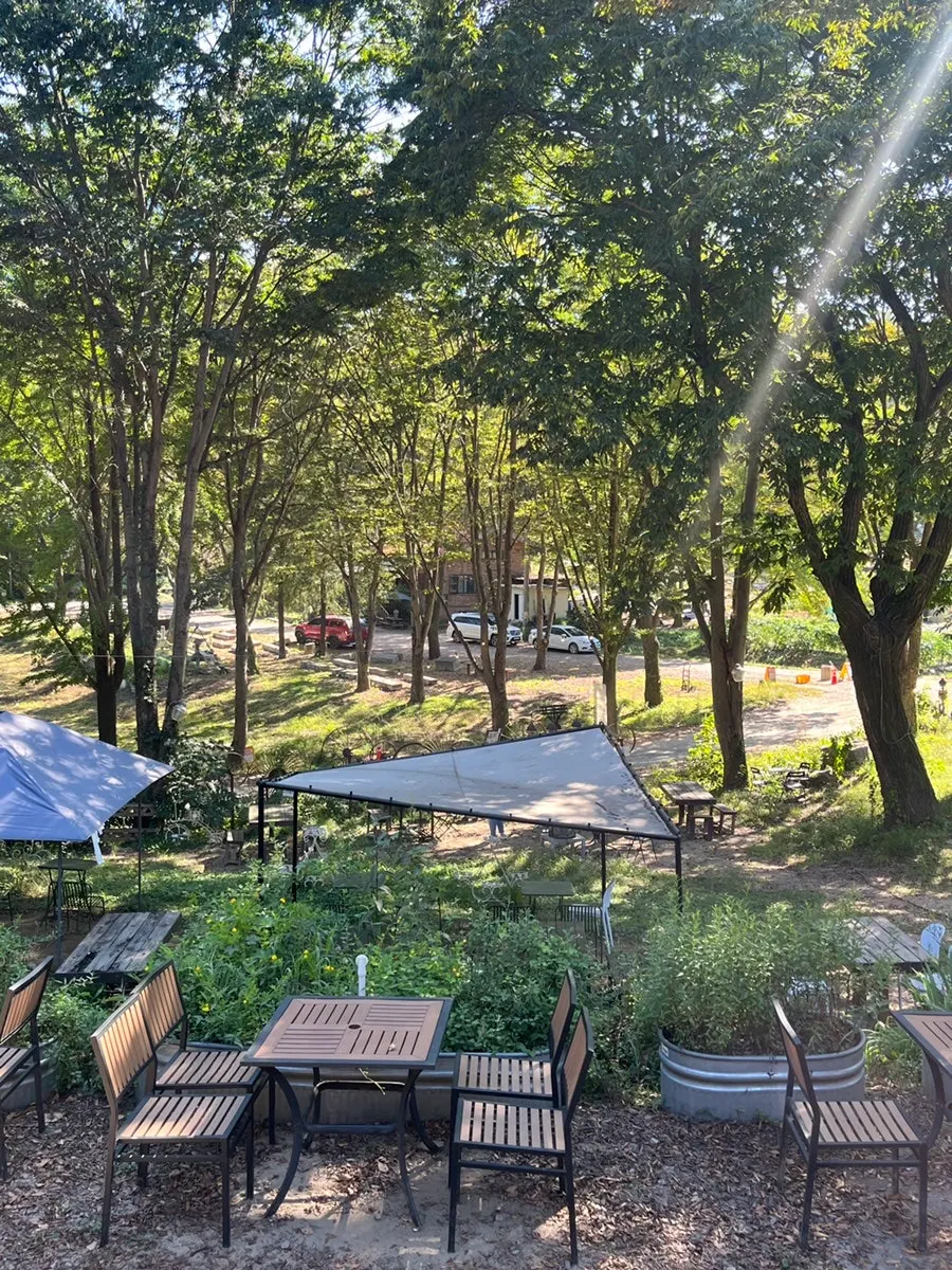 Forerest's parking lot with space for 50 cars