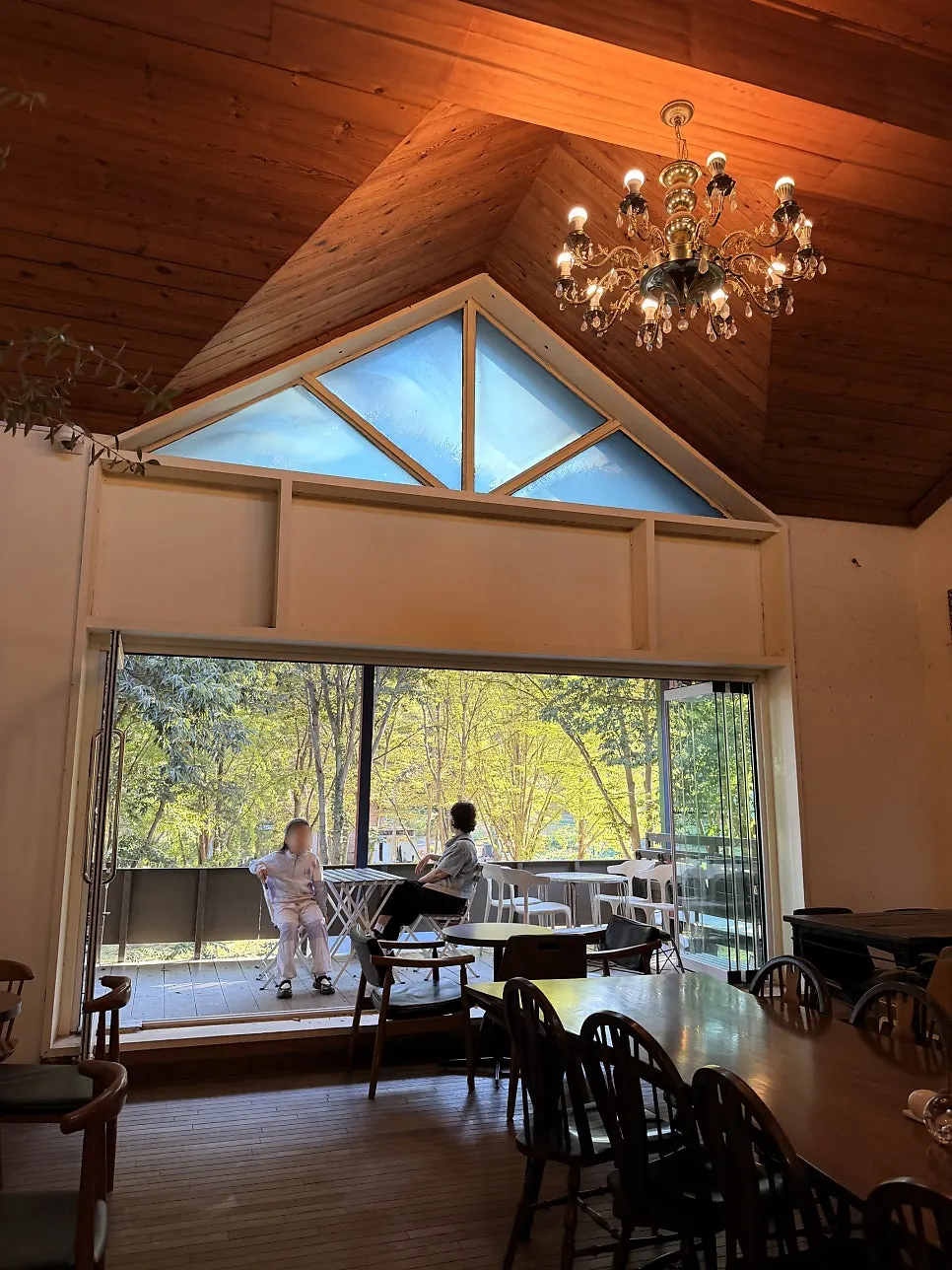 Forerest café space divided into room-style zones