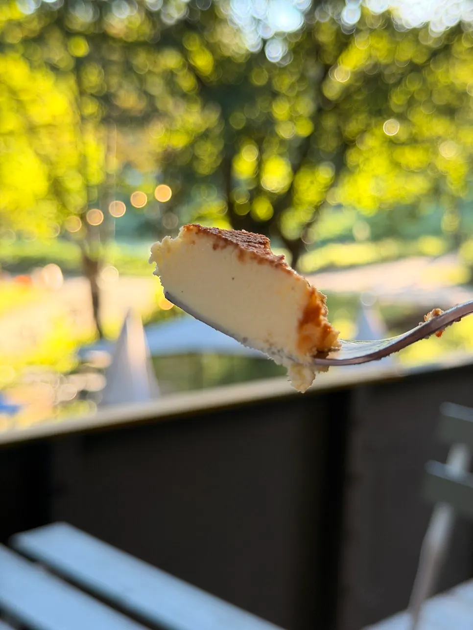A slice of chocolate Basque cheesecake