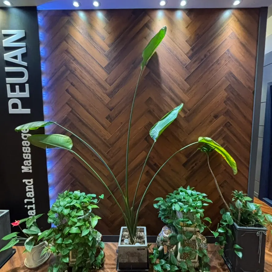 Calm interior atmosphere of Puan Massage Cheonan Dujeong Branch