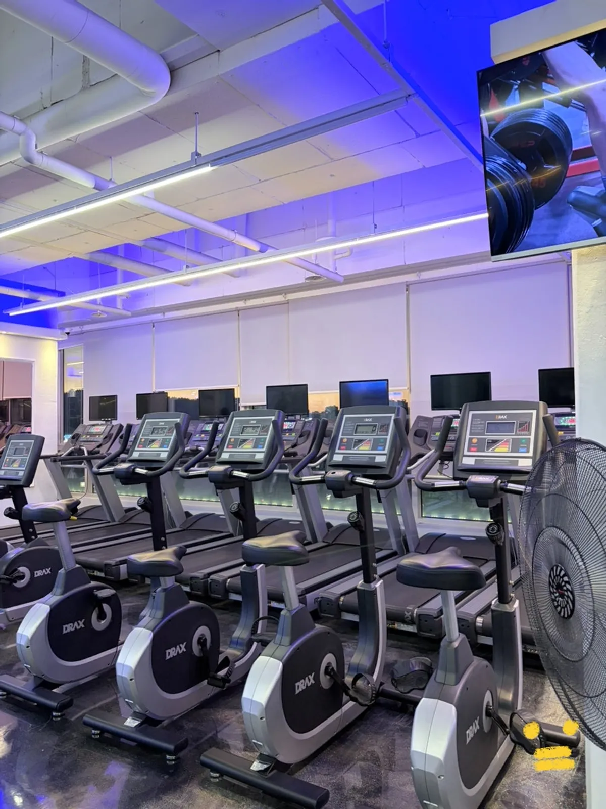 Cardio equipment area with stair climbers