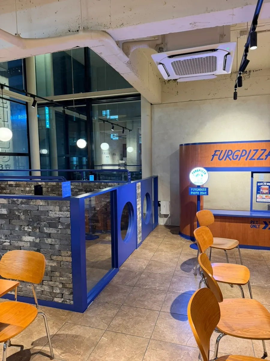 칸막이가 설치된 3층 펫존 좌석