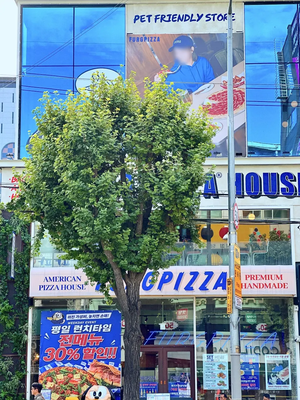 퍼그피자하우스 신림점 캐주얼 다이닝 내부