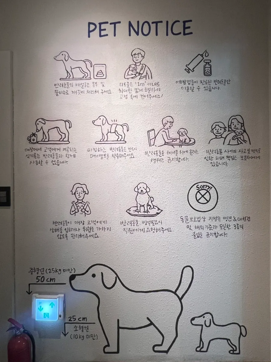 3층 펫존 강아지 출입 기준과 이용수칙 안내