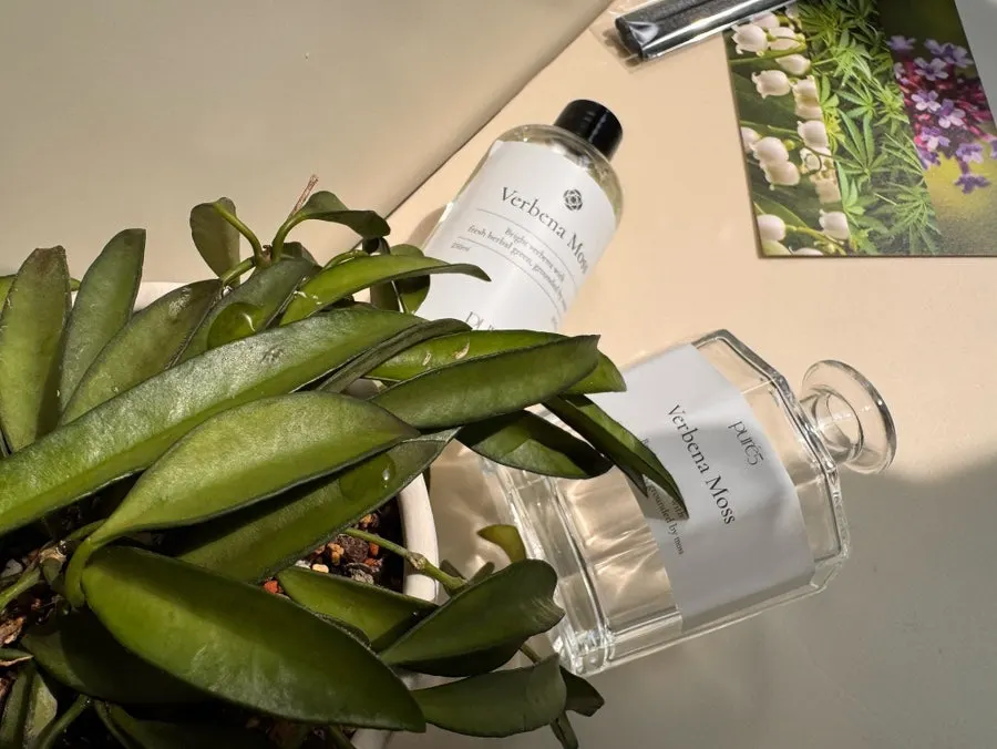 Verbena Moss diffuser product