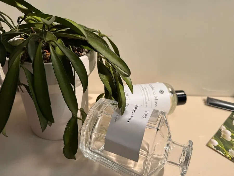 Diffuser introducing the Verbena Moss scent