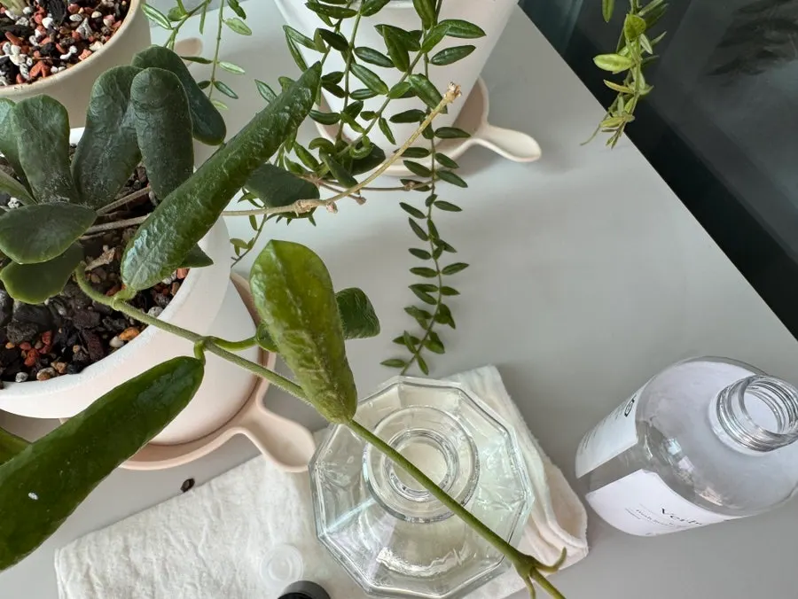 Detailed diffuser set contents