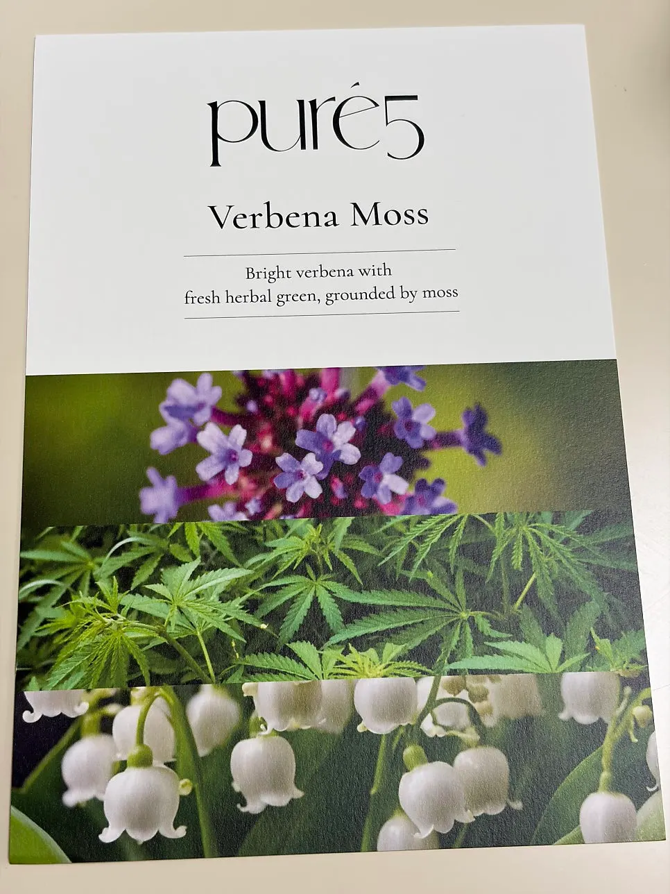 Moss-scented diffuser bottle