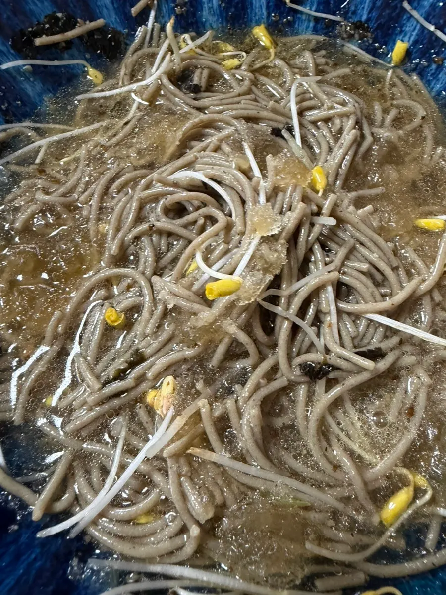 100% pure buckwheat migamyeon noodles in broth