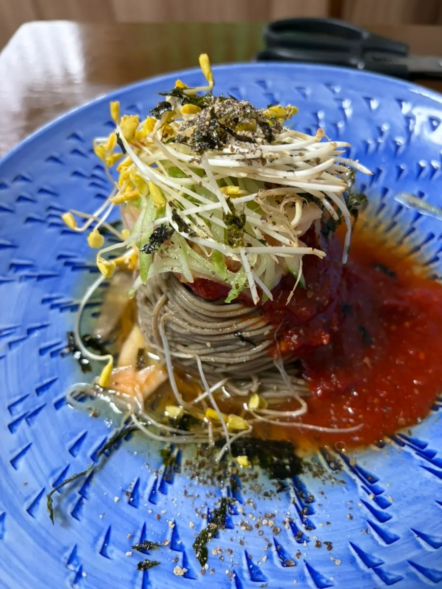 A bowl of buckwheat noodles with broth poured over