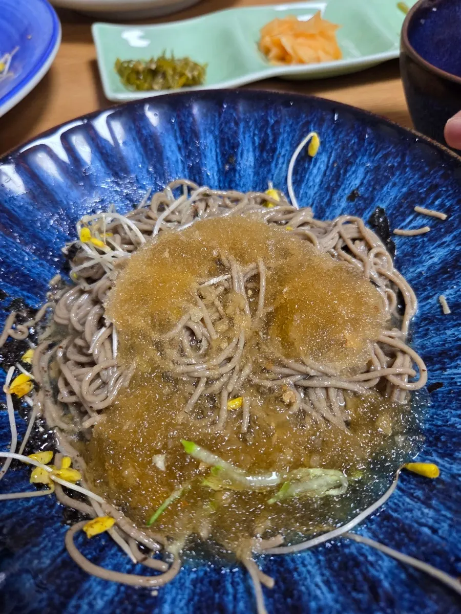 The broth served alongside the buckwheat migamyeon