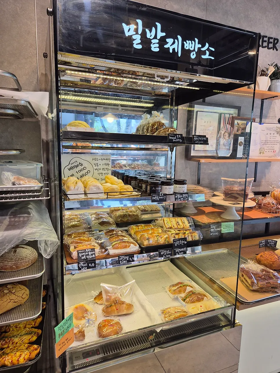 Display case with twist donuts and doughnuts