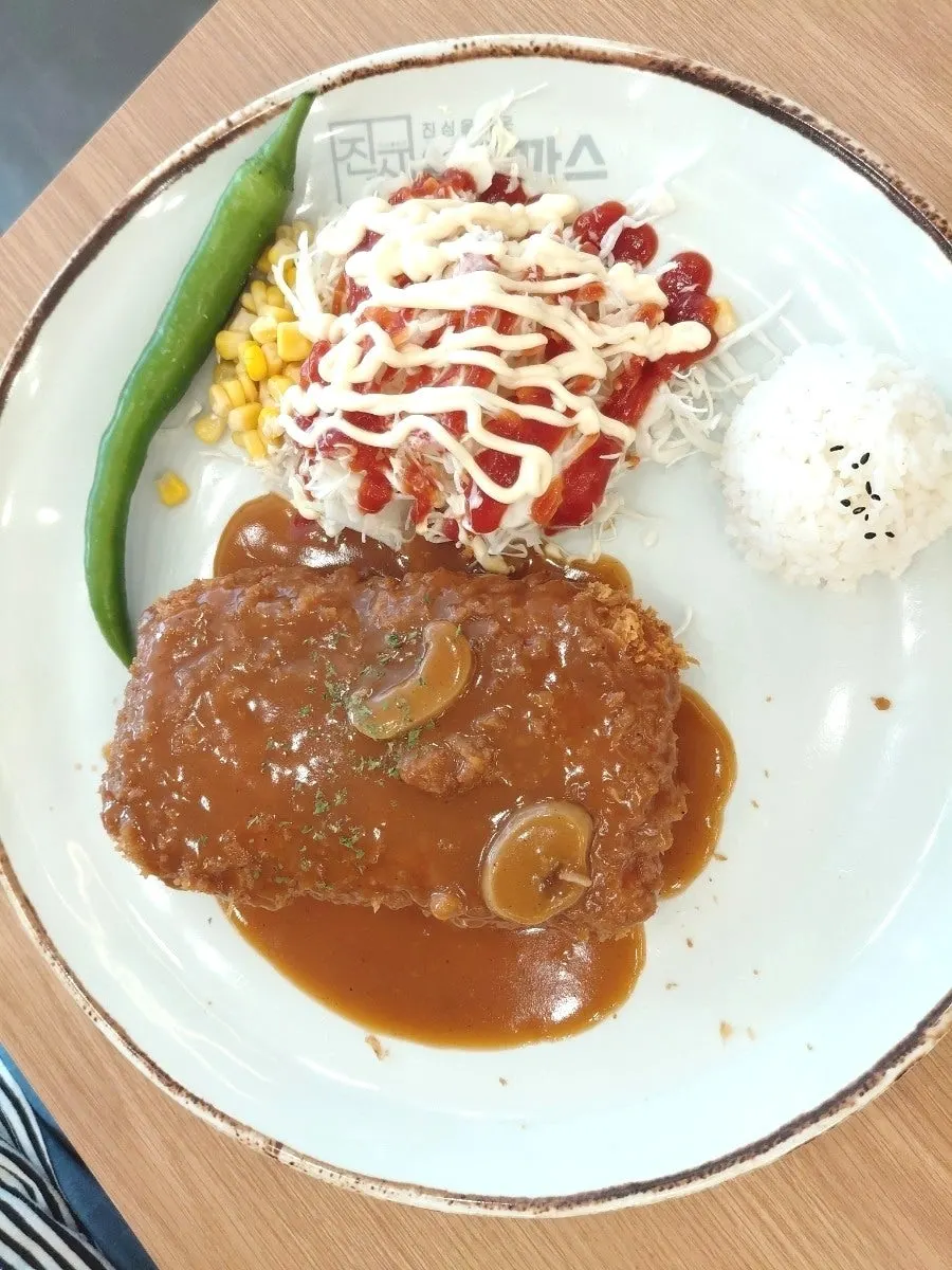 Close-up of the cheese waterfall donkatsu plate