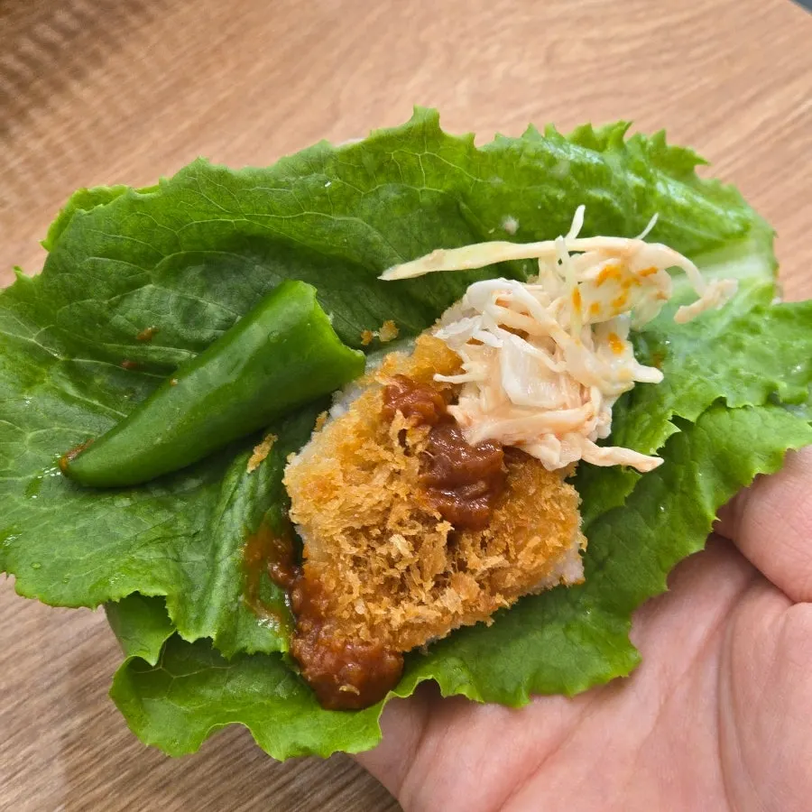 소스에 찍은 돈까스 한 조각