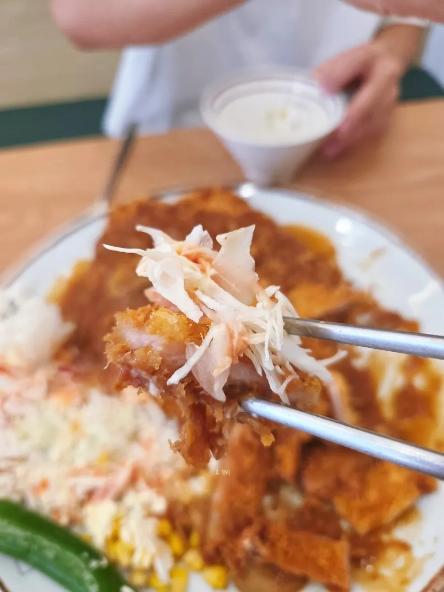 A piece of donkatsu moistened with sauce