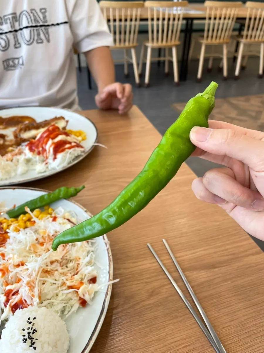 한 사발 나온 양배추 샐러드