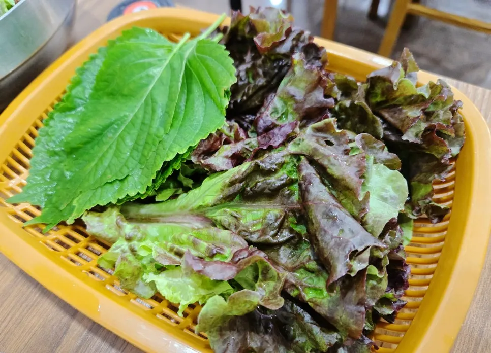 A plate of fresh wrapping greens