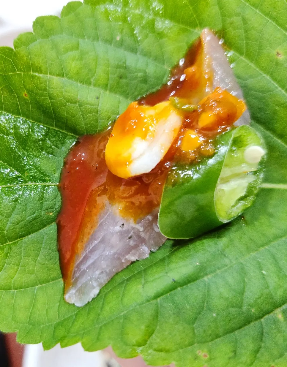 Chamgajami sashimi dipped in wasabi soy sauce