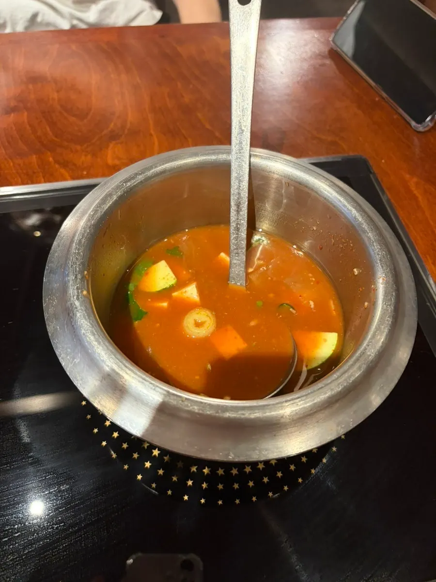Stew simmering on the induction stove