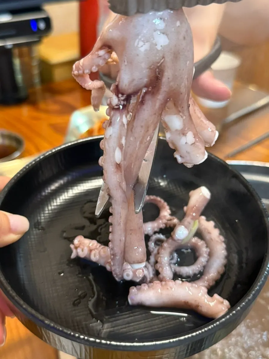 Plump raw octopus before going into the hot pot