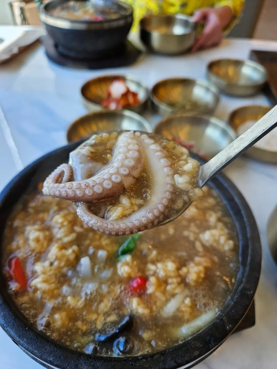 칼집 넣은 솔방울 오징어
