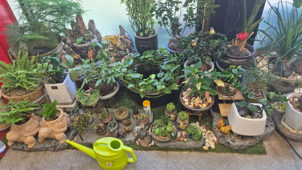 Plants in the restaurant's indoor garden bed