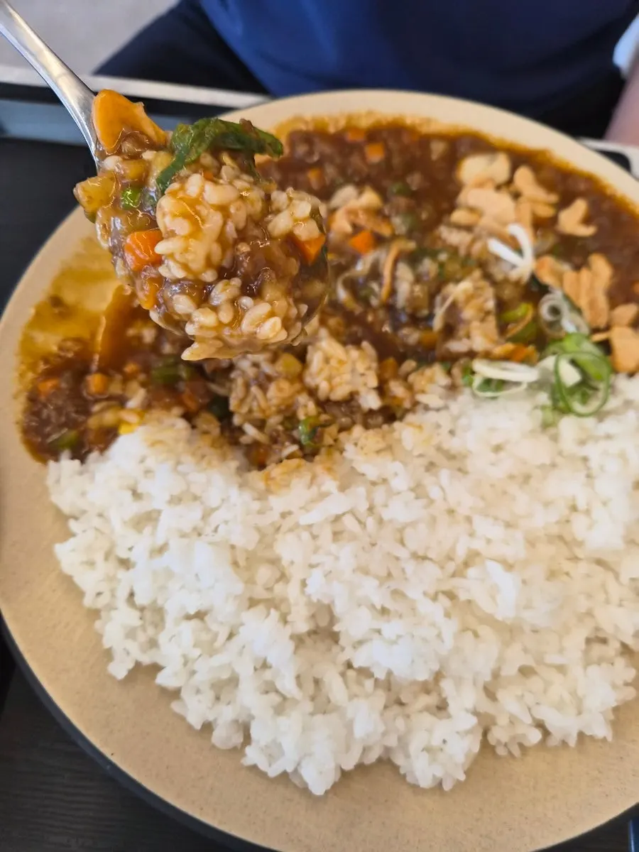 Mince curry topped with garlic flakes and scallions