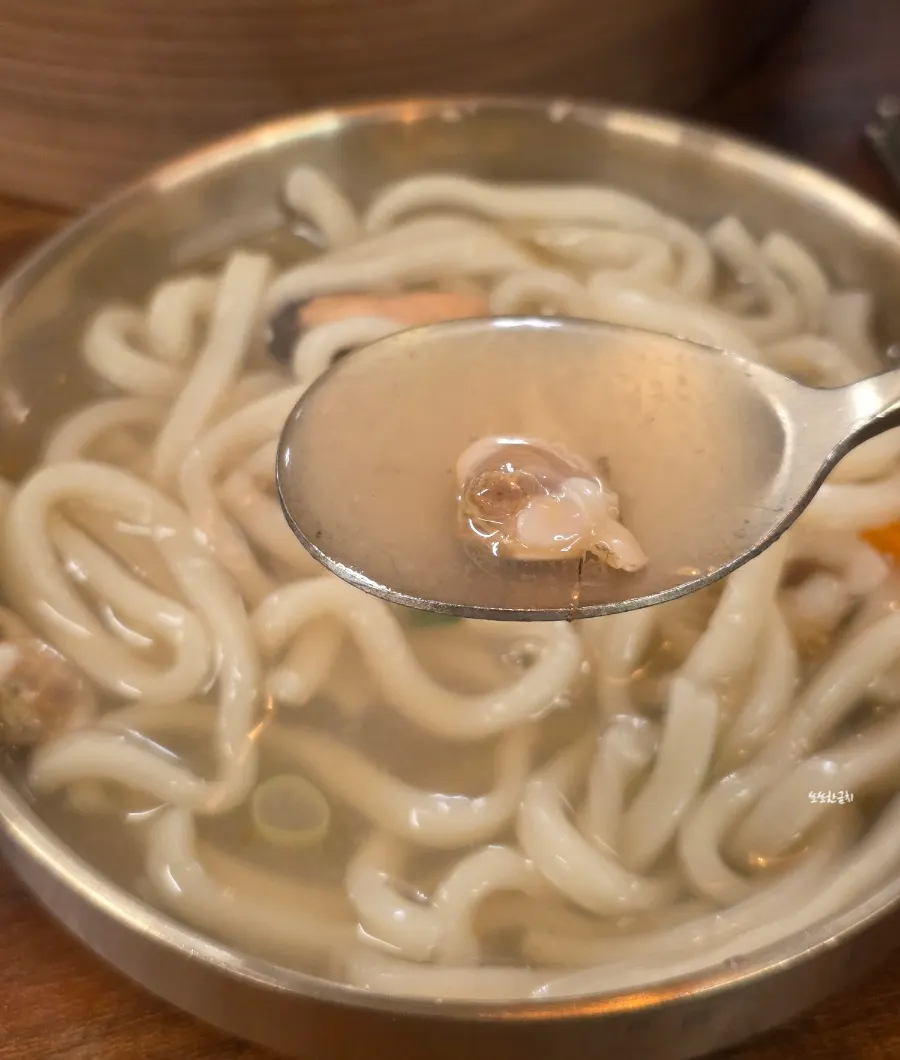 동죽과 홍합이 들어간 물총칼국수