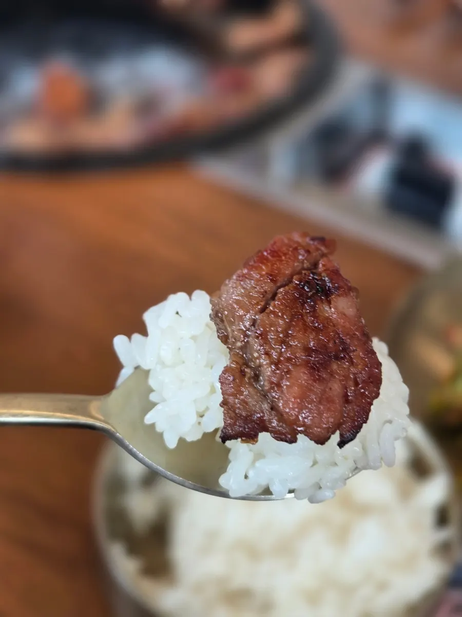 A piece of charcoal-grilled pork galbi placed on white rice