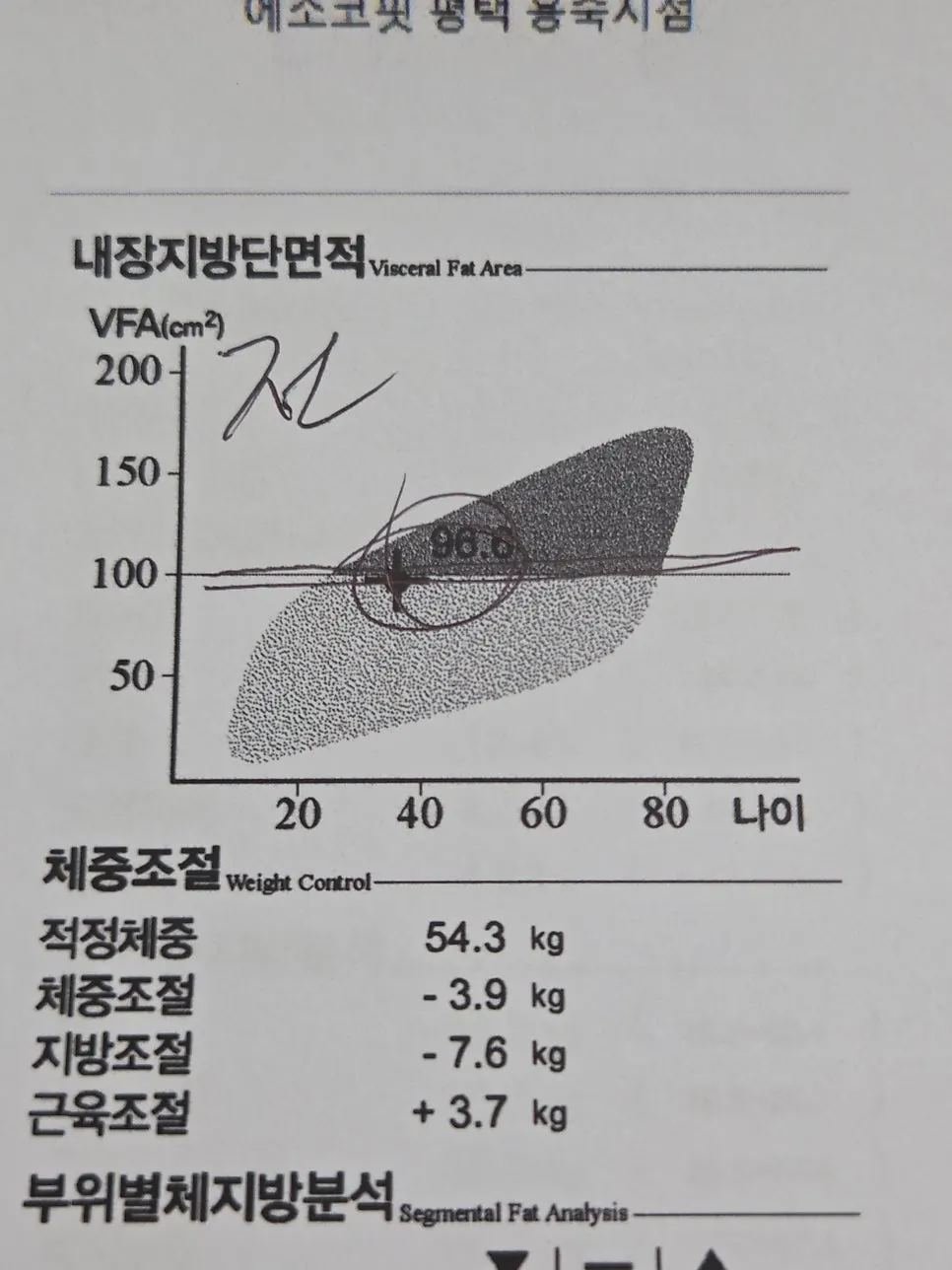 InBody results showing changes in basal metabolic rate and skeletal muscle mass