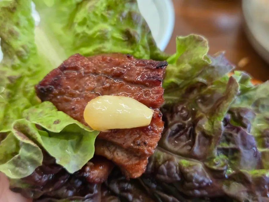 A juicy piece of seasoned pork grill