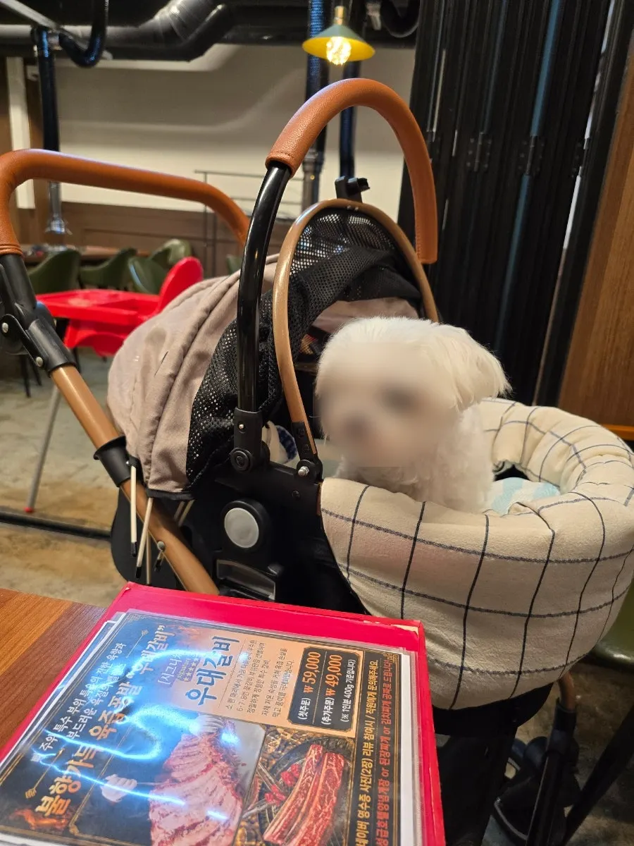 犬同伴可能の案内
