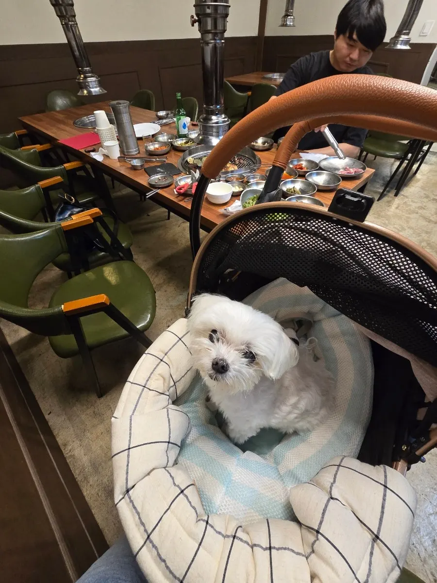 Korean barbecue visit with a dog