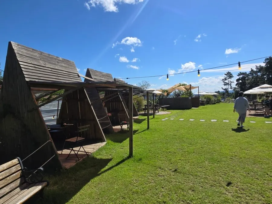Sisup's grass garden and parasol benches