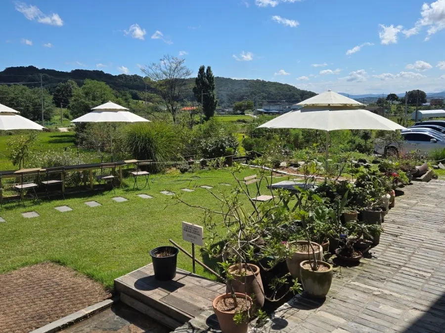Private outdoor seating in Sisup's garden