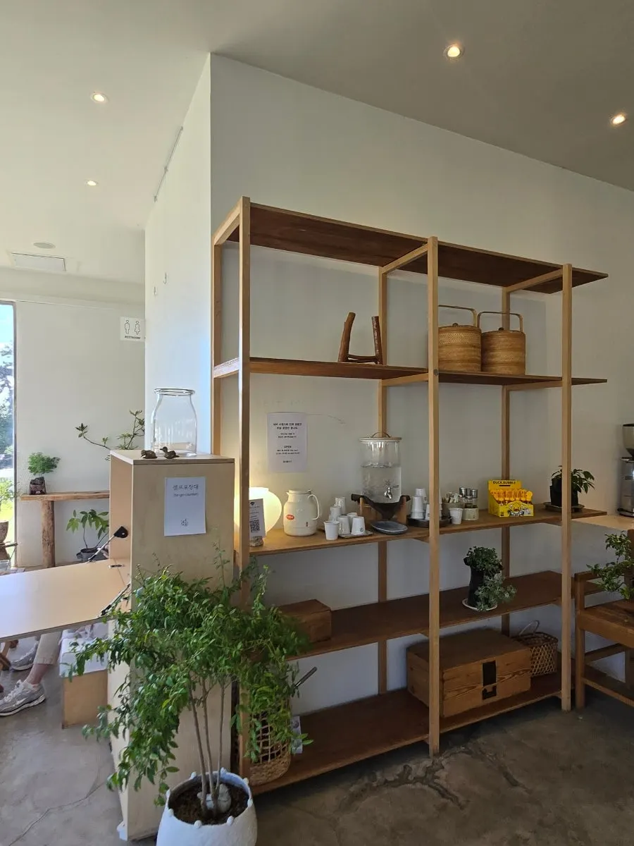 Sisup's interior with plants and wood décor
