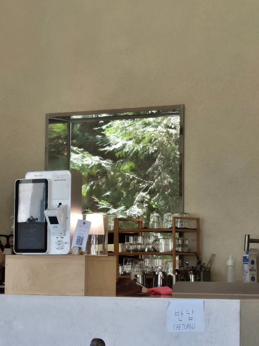 Trees swaying beyond Sisup's floor-to-ceiling windows
