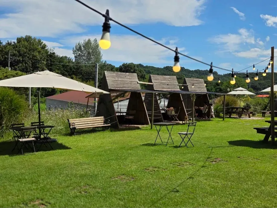 Dog-friendly outdoor seating at Sisup