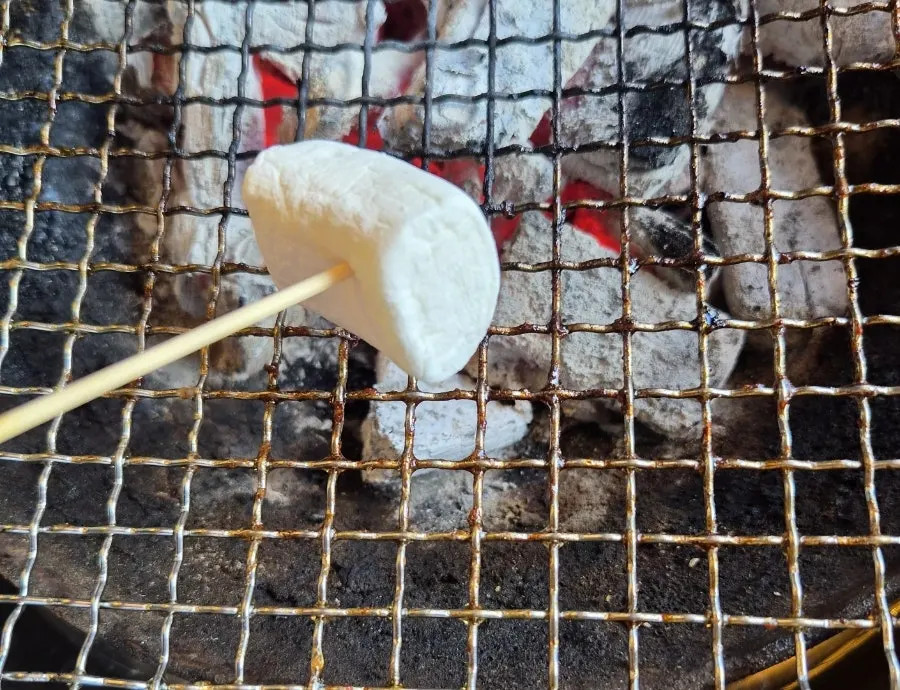 꼬치에 꽂아 구운 마시멜로