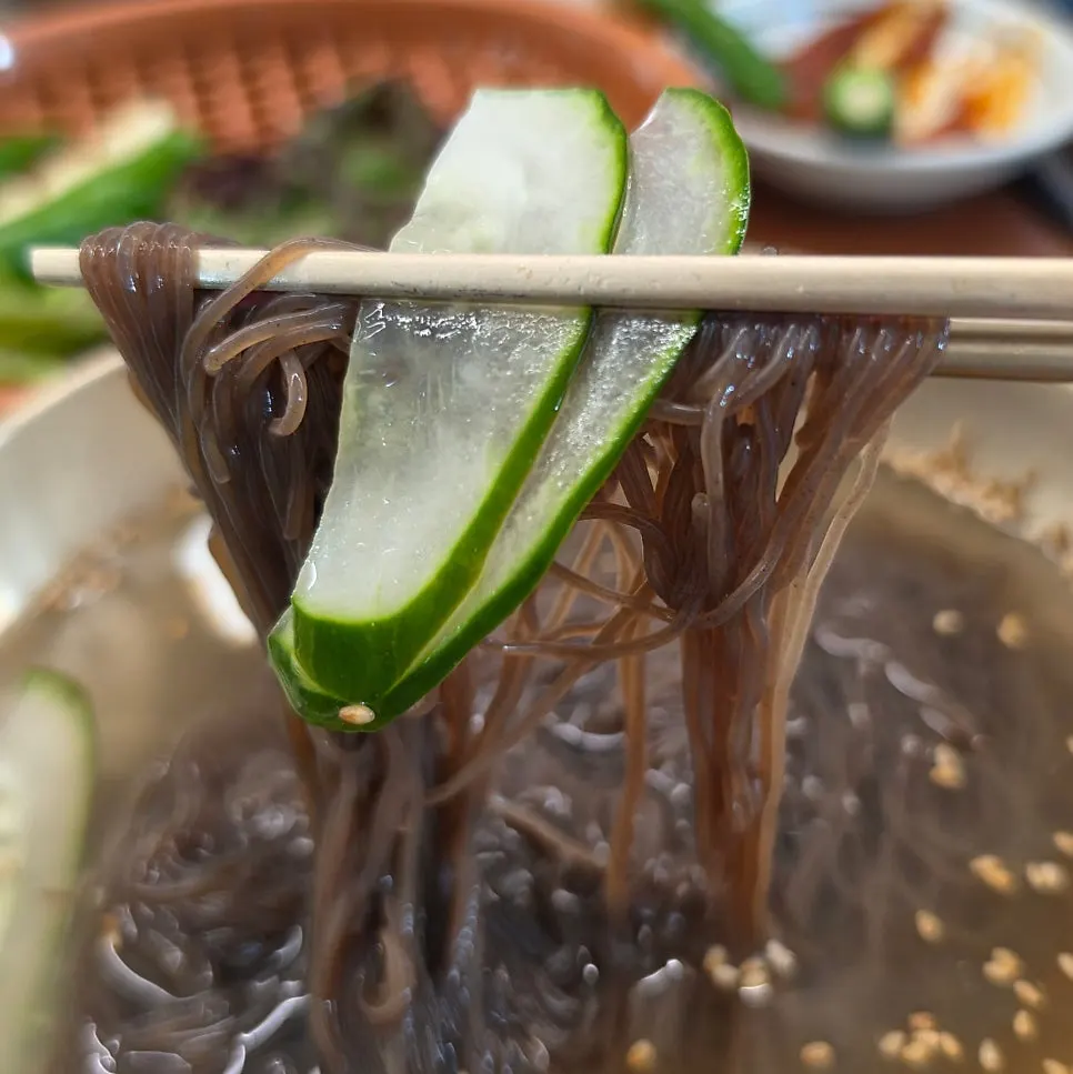 Noodles lifted up from the mul-naengmyeon bowl