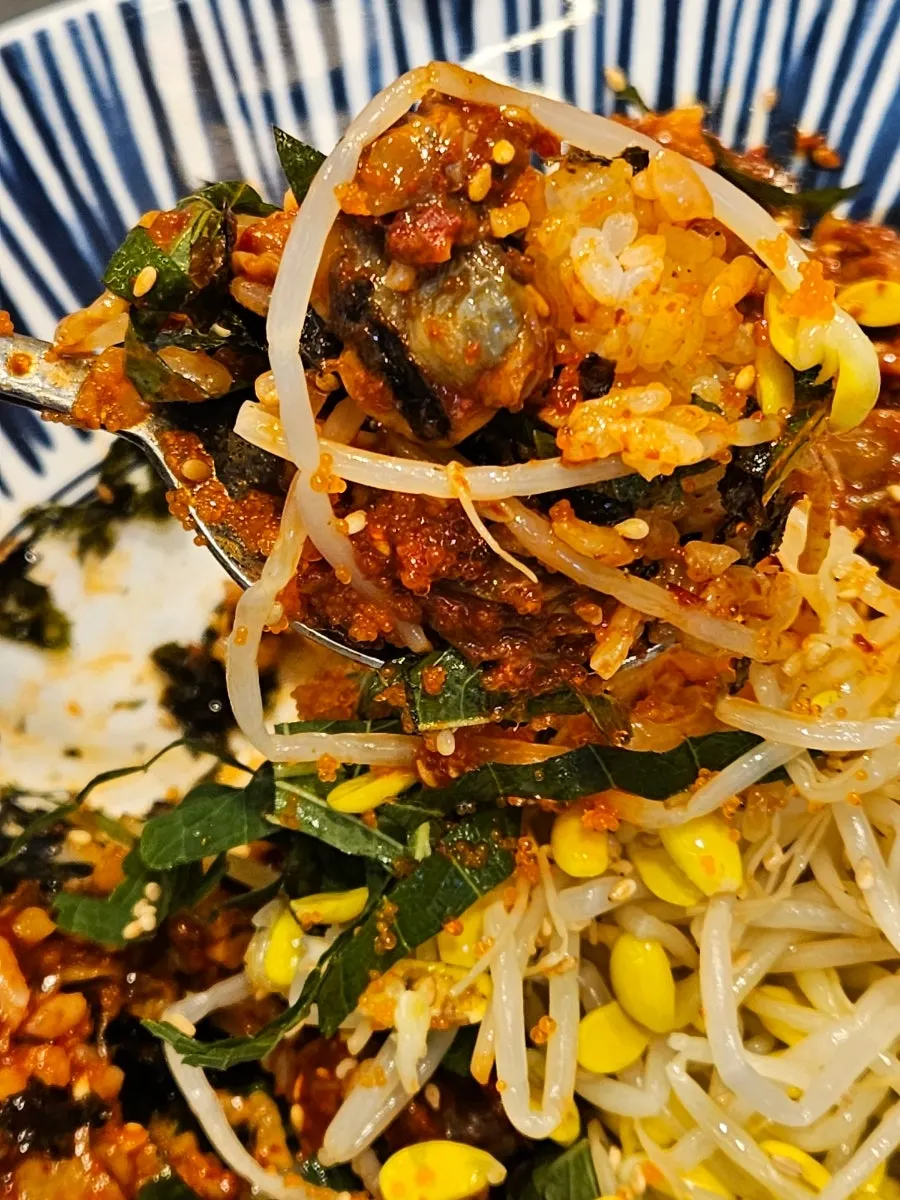 A wrap of cockle bibimbap in laver