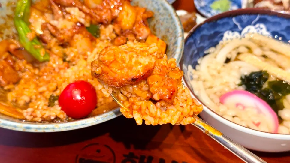 Close-up of the deeply seasoned pork rice bowl