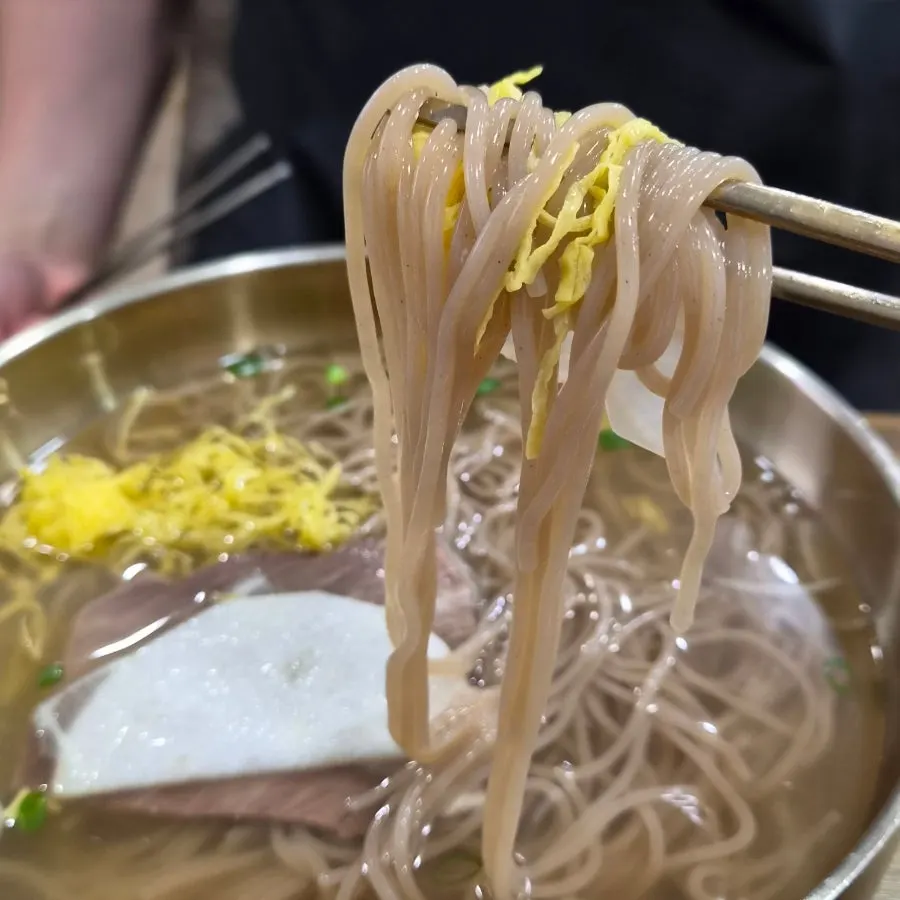 직접 뽑은 두꺼운 면발을 들어올린 평양냉면