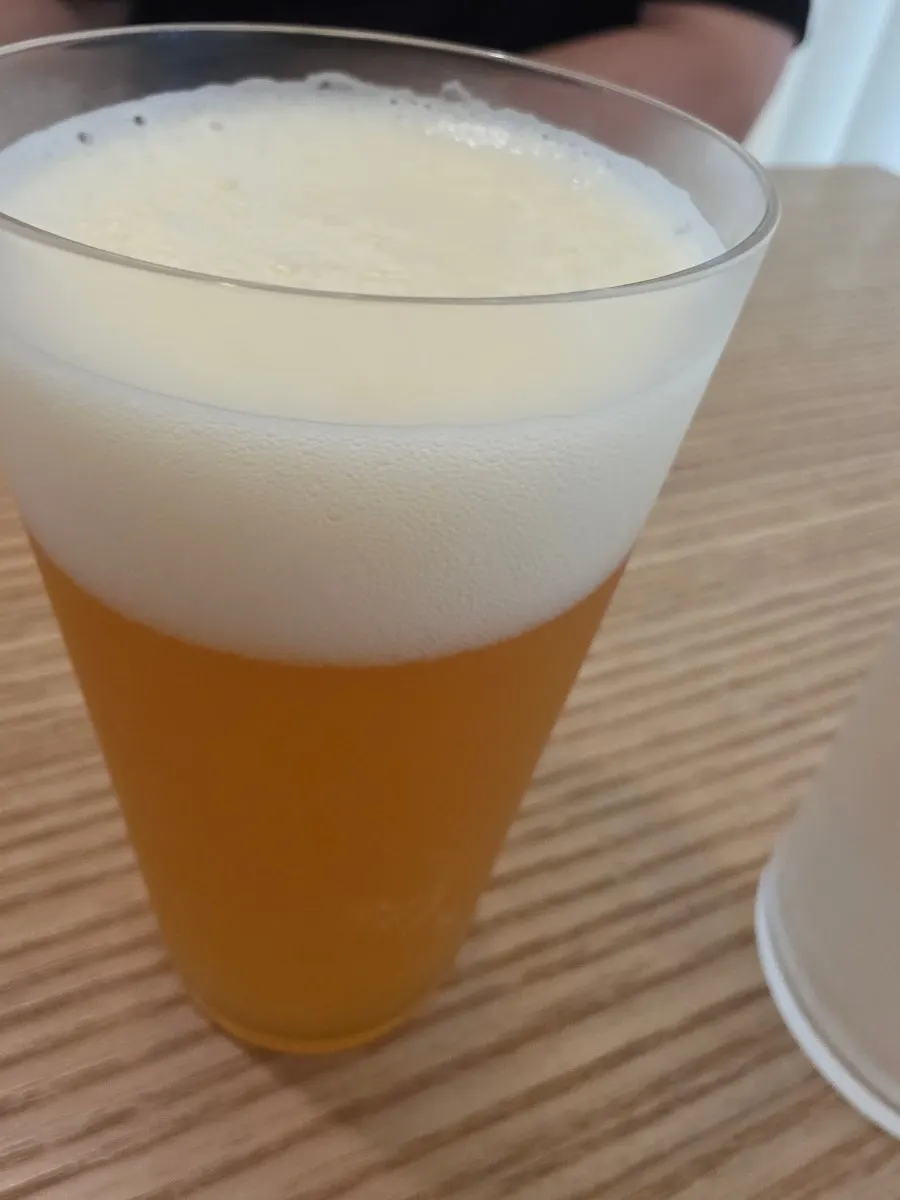 넘사벽 헤이지 IPA 500ml 캔
