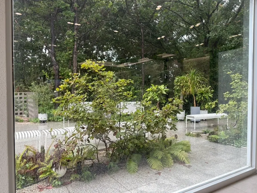 A table by the full window with a plant view