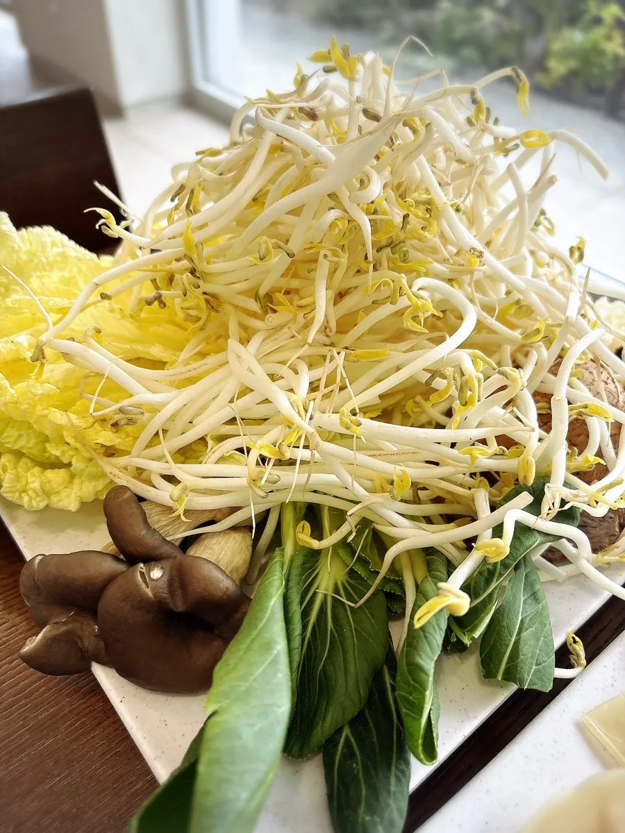Mandu, knife noodles, and vegetables in the hot pot