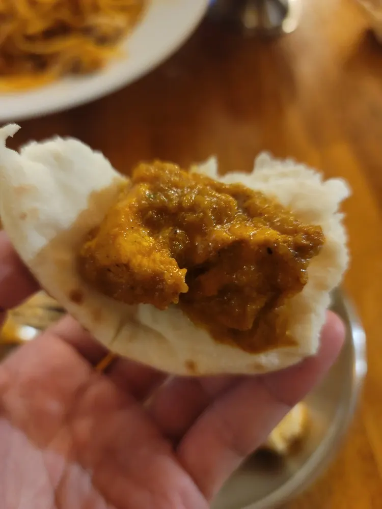 치킨커리 클로즈업
