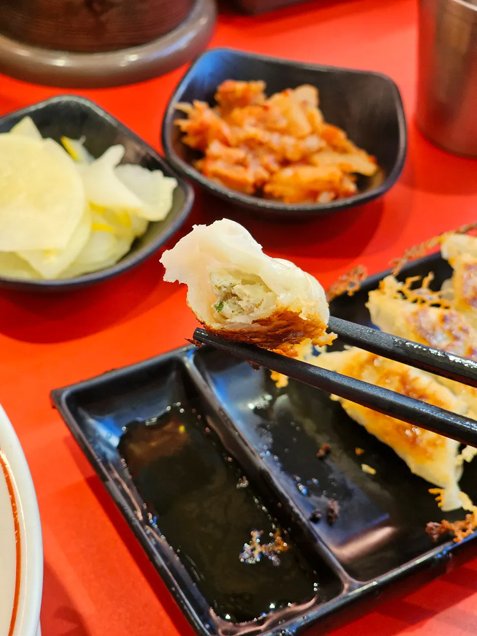 Six wing-skirted yaki gyoza