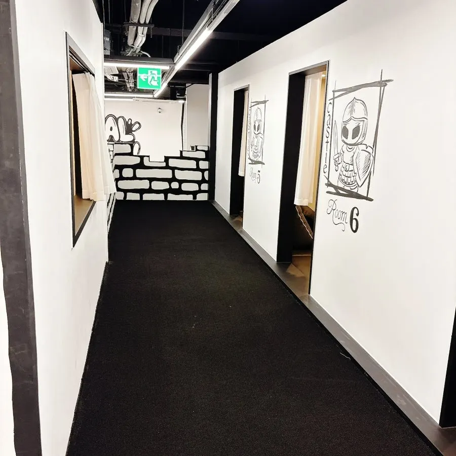 Black carpet hallway with castle wall mural leading to Castle rooms